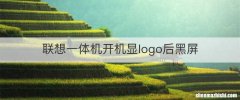 联想一体机开机显logo后黑屏