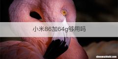 小米86加64g够用吗