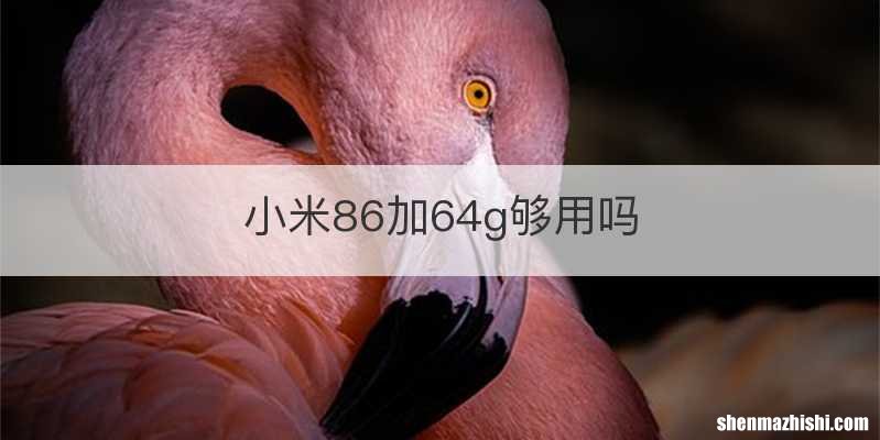 小米86加64g够用吗