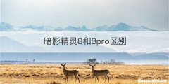 暗影精灵8和8pro区别