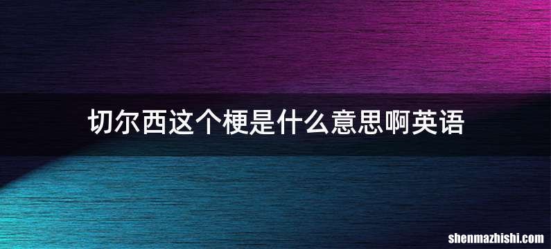 切尔西这个梗是什么意思啊英语