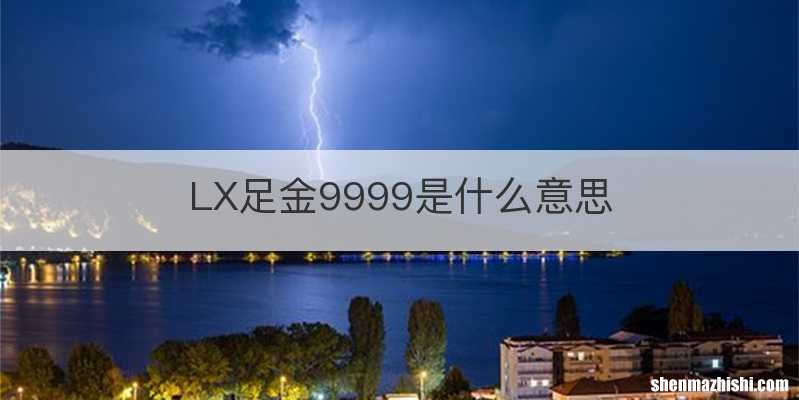 LX足金9999是什么意思