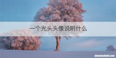 一个光头头像说明什么
