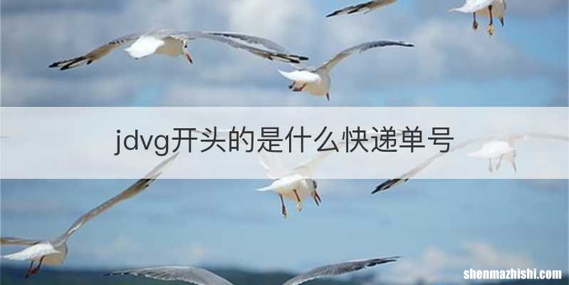jdvg开头的是什么快递单号