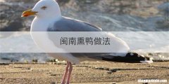 闽南熏鸭做法