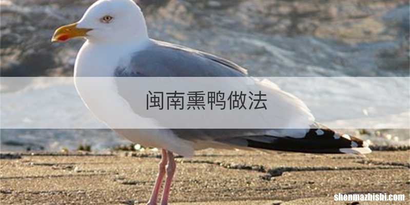 闽南熏鸭做法