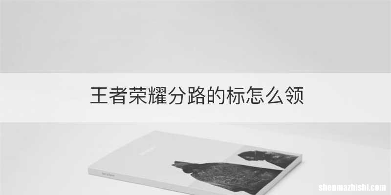 王者荣耀分路的标怎么领