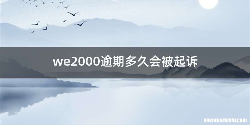 we2000逾期多久会被起诉