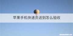 苹果手机快递员送到怎么验收