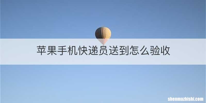 苹果手机快递员送到怎么验收