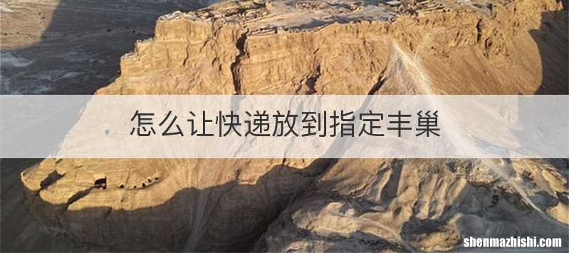 怎么让快递放到指定丰巢