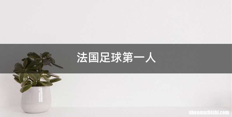 法国足球第一人