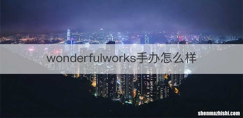 wonderfulworks手办怎么样