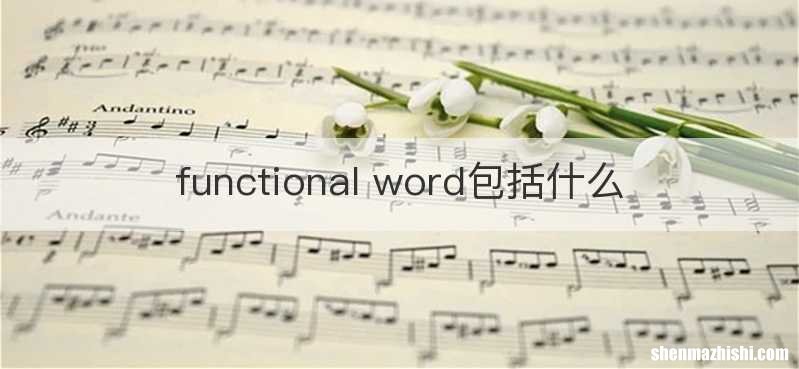 functional word包括什么