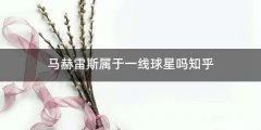 马赫雷斯属于一线球星吗知乎