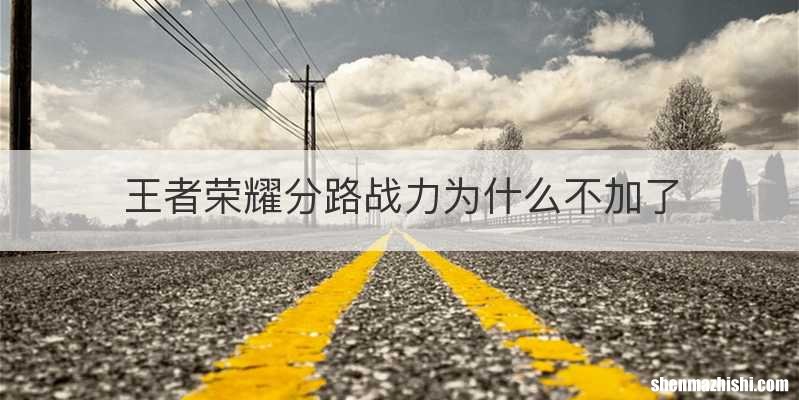 王者荣耀分路战力为什么不加了