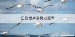 巴黎世乒赛男双冠军