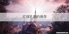 红烧乳鸽的保存