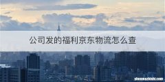 公司发的福利京东物流怎么查