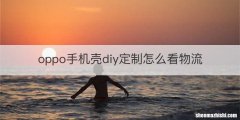 oppo手机壳diy定制怎么看物流