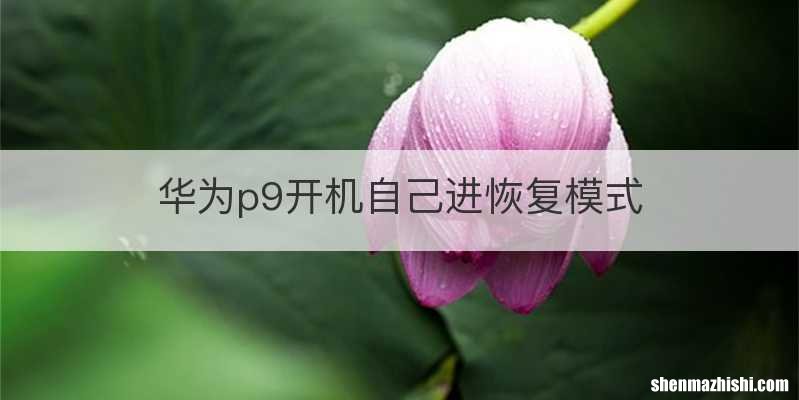 华为p9开机自己进恢复模式