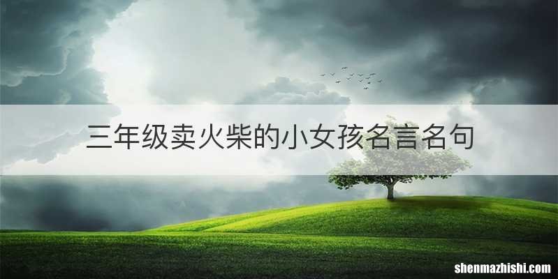 三年级卖火柴的小女孩名言名句