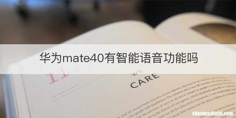 华为mate40有智能语音功能吗