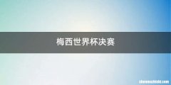 梅西世界杯决赛