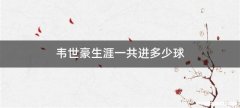 韦世豪生涯一共进多少球