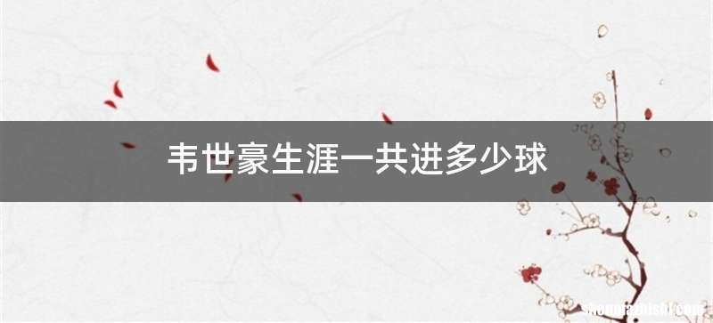 韦世豪生涯一共进多少球