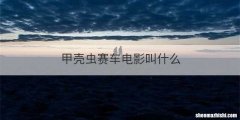 甲壳虫赛车电影叫什么
