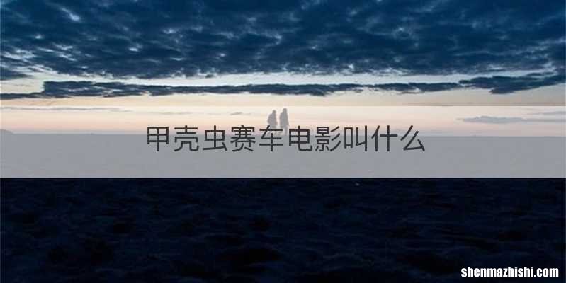 甲壳虫赛车电影叫什么