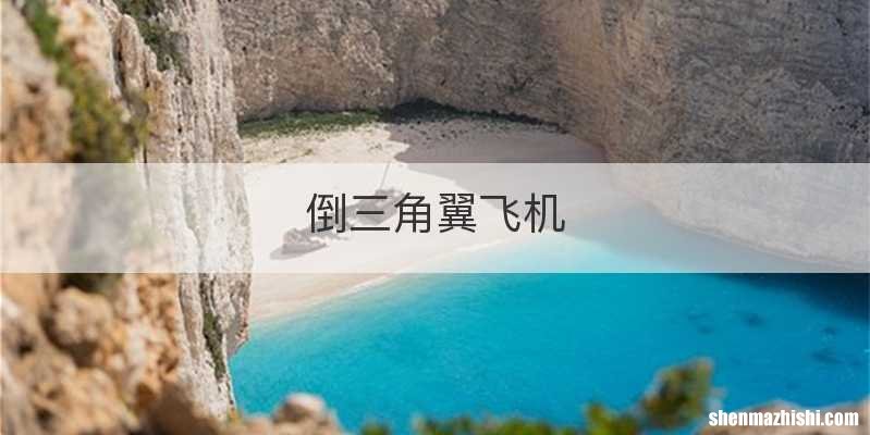 倒三角翼飞机