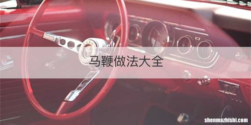 马鞭做法大全