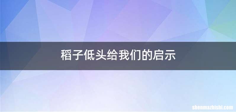 稻子低头给我们的启示