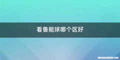 看鲁能球哪个区好