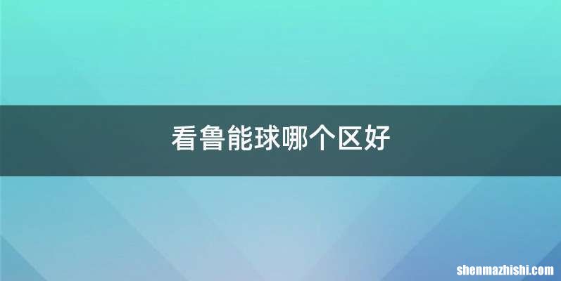 看鲁能球哪个区好