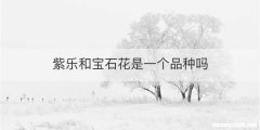 紫乐和宝石花是一个品种吗