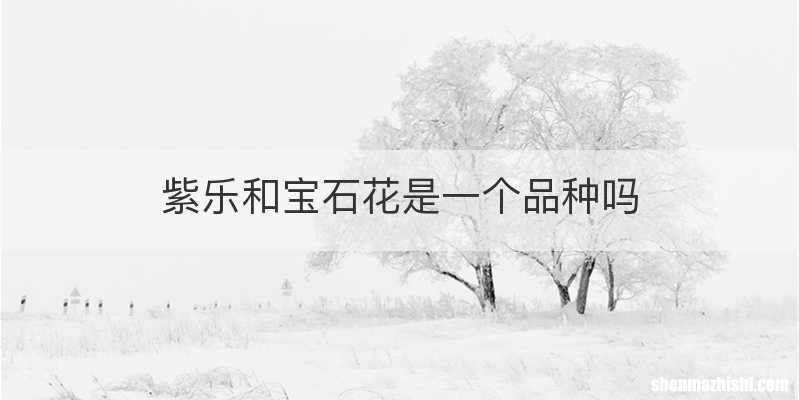 紫乐和宝石花是一个品种吗