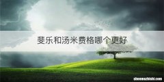 斐乐和汤米费格哪个更好
