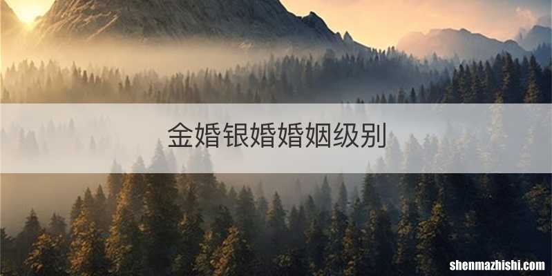 金婚银婚婚姻级别