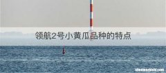 领航2号小黄瓜品种的特点
