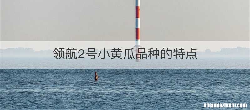 领航2号小黄瓜品种的特点