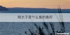 明太子是什么鱼的鱼籽