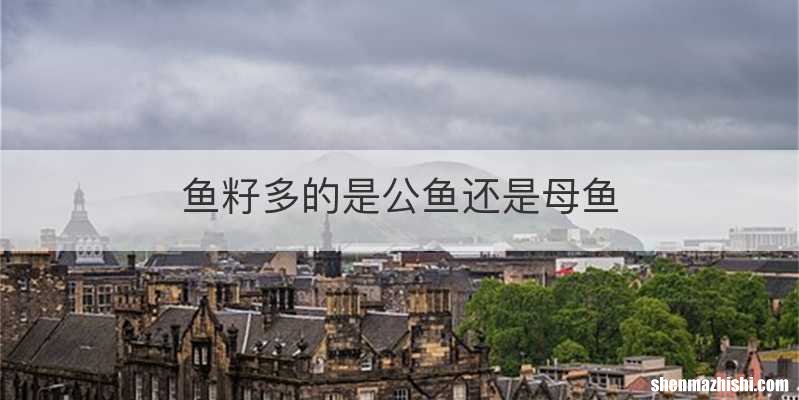 鱼籽多的是公鱼还是母鱼
