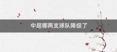 中超哪两支球队降级了