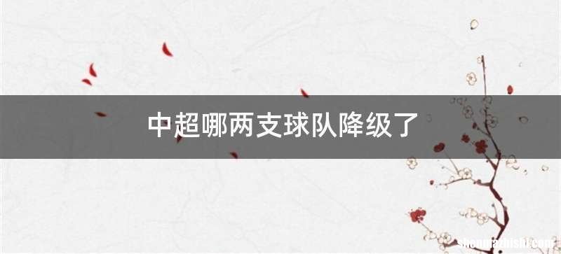 中超哪两支球队降级了