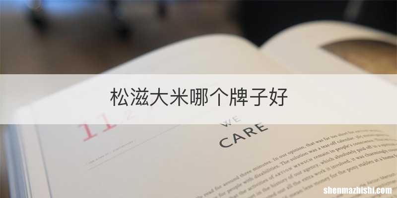 松滋大米哪个牌子好