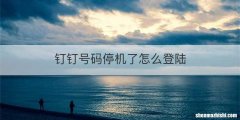 钉钉号码停机了怎么登陆