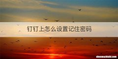 钉钉上怎么设置记住密码